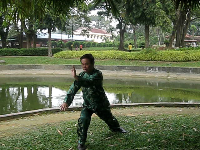 Taijiquan Cloud Hands